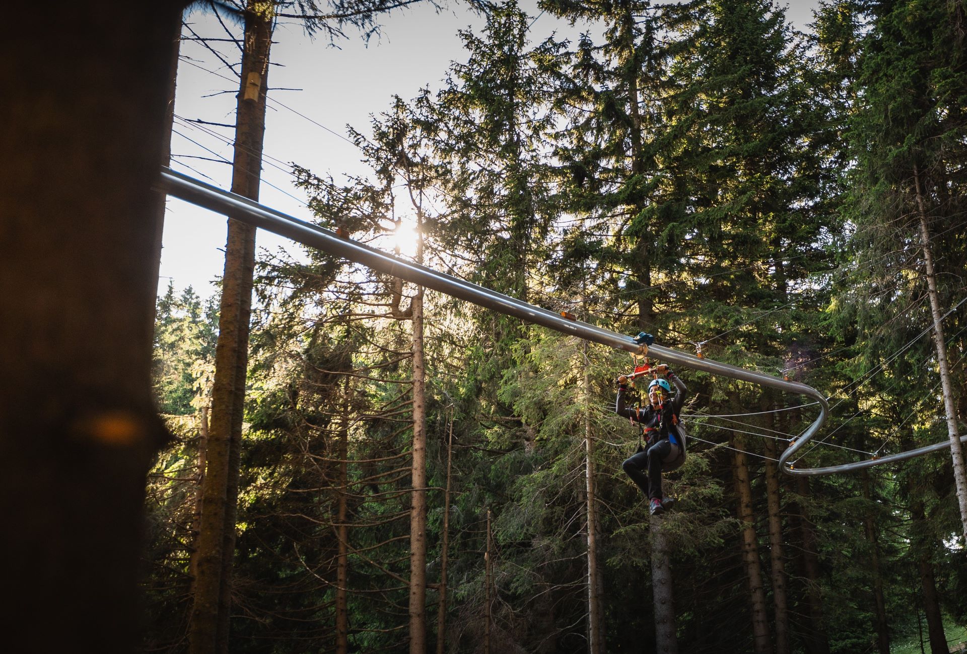 ROLLER COASTER  AMONG TREETOPS