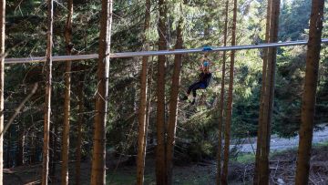 ROLLER COASTER MED KROŠNJAMI