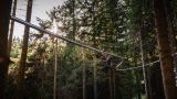ROLLER COASTER MED KROŠNJAMI