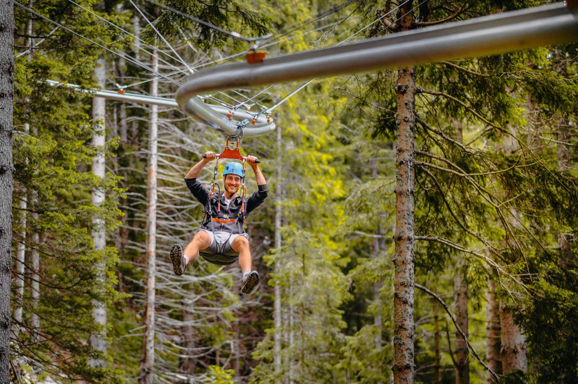 ROLLER COASTER  AMONG TREETOPS